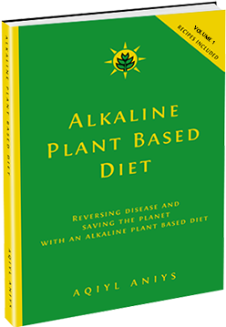 Alkaline Plant Based Diet