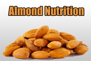 Almond Nutrition