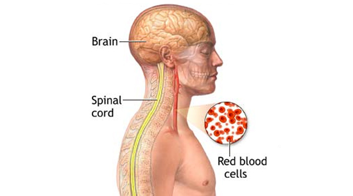 Vitamin B12 Benefits