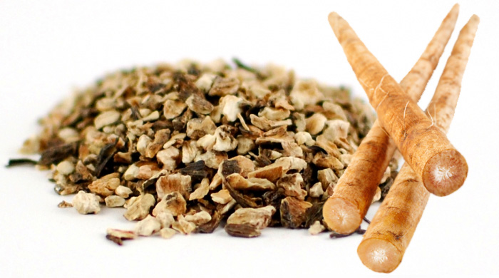 Benefits of Burdock Root in Detoxifying the Blood