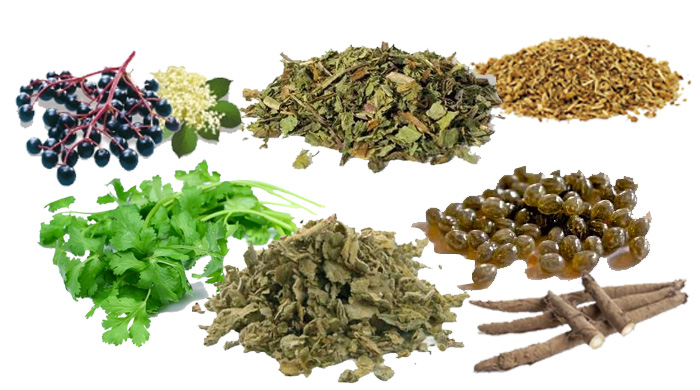 Top 7 Natural Detox Herbs