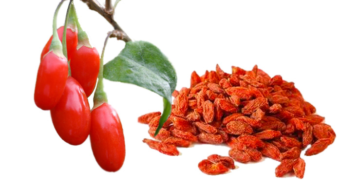 Goji Berries: What Are Goji Berries And Their Benefits