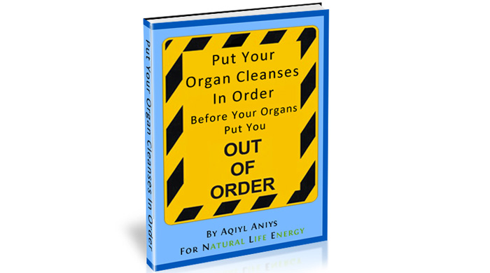 Free E-book - Put Your Organ Cleanses In Order Before Your Organs Put You Out Of Order