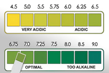 My Blood Blood Test pH Results