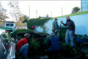 Ron Finley Taking Over South Central LA With Gardens!