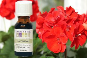 What Is Essential Oil? Essential Oil Benefits