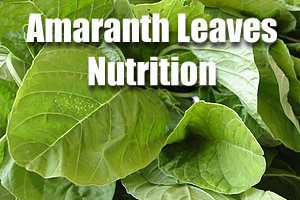 Amaranth Leaves Nutrition