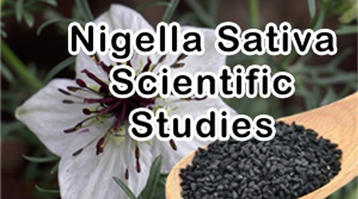 Nigella Sativa Scientific Studies – Black Seed – Black Cumin