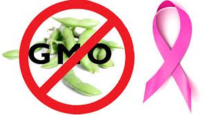 Effects OF GMO Soy On Breast Cancer