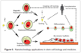 Nanotechnology On Its Way To Treat Children's Cancer 