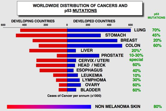 Researchers Developed Promising APR-246 Anti-Cancer Drug