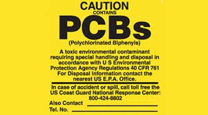 Dietary Pollutants Interfering With Normal Male Development