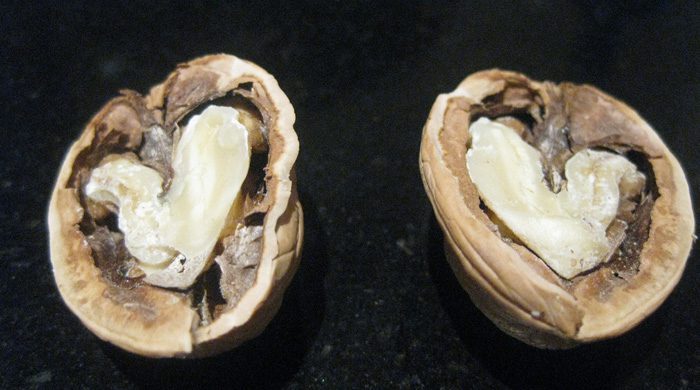 Protect Your Heart And Artery With Walnuts