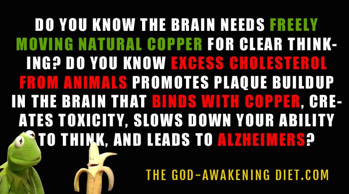 Excess Cholesterol Promotes Copper Trapping Plaque In The Brain Contributing To Alzheimers And Mental Dullness