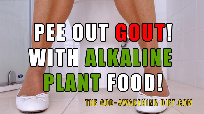 An Alkaline Diet Reverses Gout