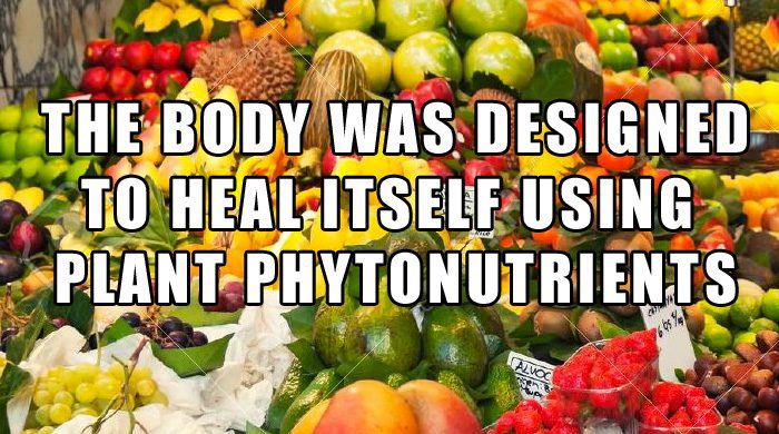 The Body Was Designed To Heal Itself With The Use Of Plant Phytonutrients 