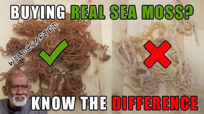 Buying Real Sea Moss Or Irish Moss - Knowing The Difference