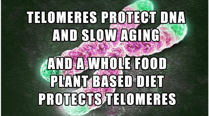 Telomeres Definition