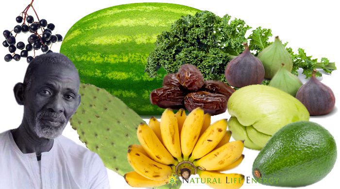 Dr. Sebi Nutritional Guide - Mucus Reducing Alkaline