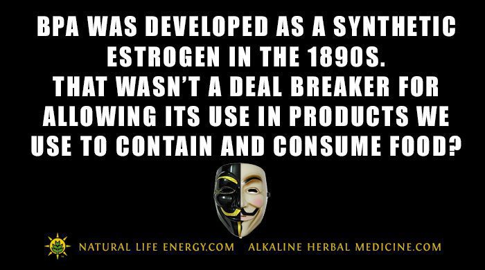 BPA Was First Developed As A Synthetic Estrogen During The 1890s