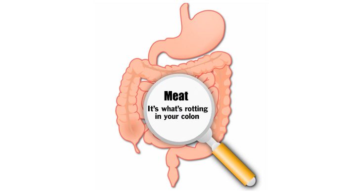 Meat's Harmful Hydrogen Sulfide Byproduct Vs Plant's Helpful Butyrate Byproduct