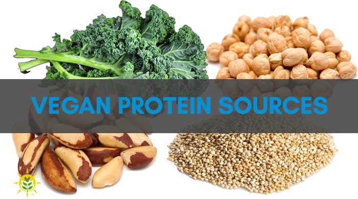 Find Your Vegan Protein Sources Here