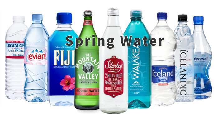 Drink Spring Water To Support The Health Of Your Organs