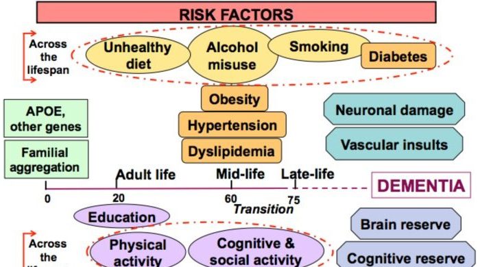 Controlling the APO Gene That Increases Risk Of Alzheimers Through Reducing Cholesterol