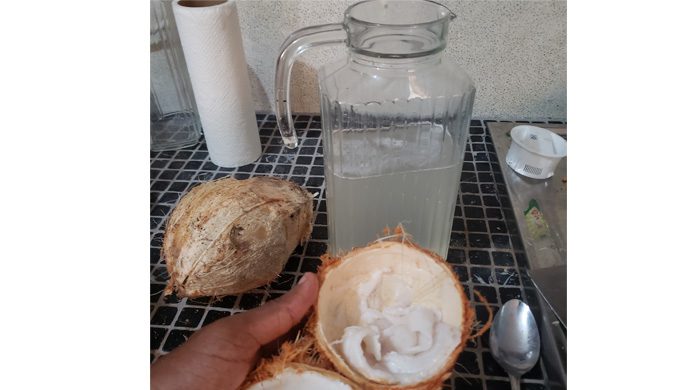 Getting Coconut Water And Jelly From Green Coconuts