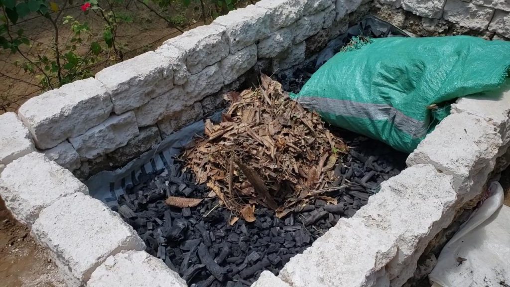 Terra Preta Black Soil In Raised Bed